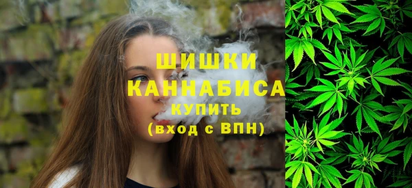 spice Надым