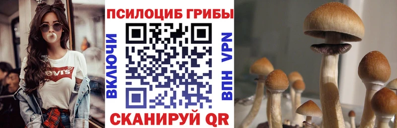 Галлюциногенные грибы ЛСД Чита