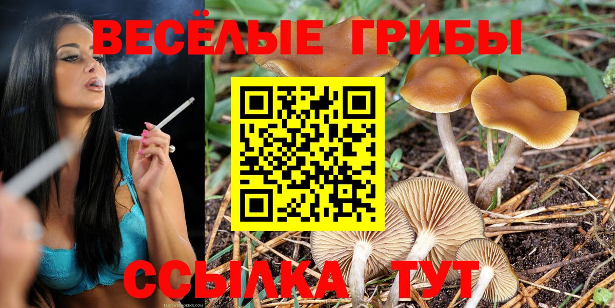 Галлюциногенные грибы MAGIC MUSHROOMS Чита