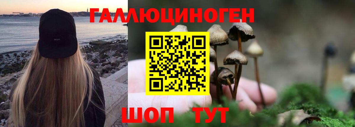Галлюциногенные грибы Cubensis  Чита 
